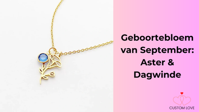 Geboortebloem van September: Aster & Dagwinde