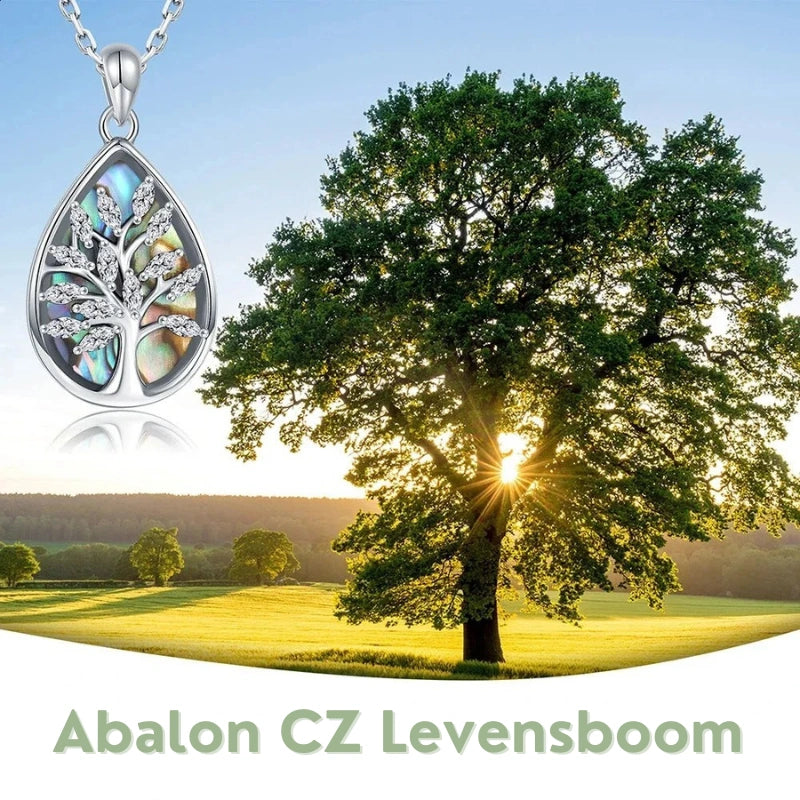 Gegraveerde Scheur Abalone Schelp Hanger Ketting Met Levensboom - Moederdag Cadeaus