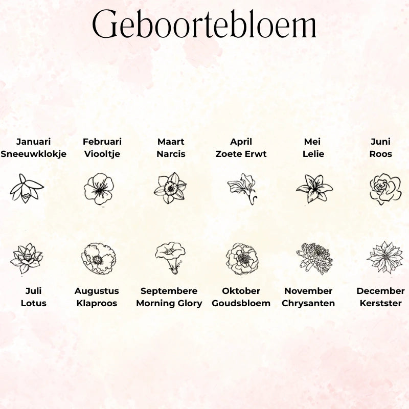 Gepersonaliseerde Ovale Schijf Geboortebloem Ketting - Cadeaus Voor Haar