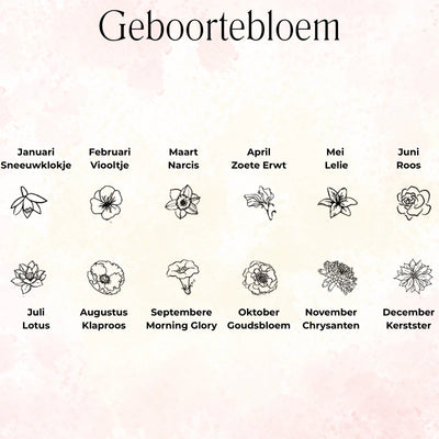 Gepersonaliseerde Ovale Schijf Geboortebloem Ketting - Cadeaus Voor Haar