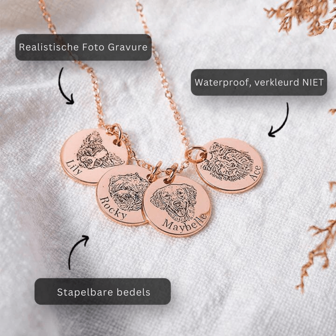 Gepersonaliseerde Huisdier Ketting