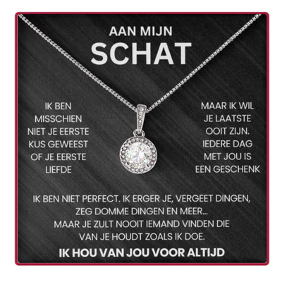 Eeuwige Rozenbox - Met 14k Witgoud Cirkel Ketting & Echte Roos