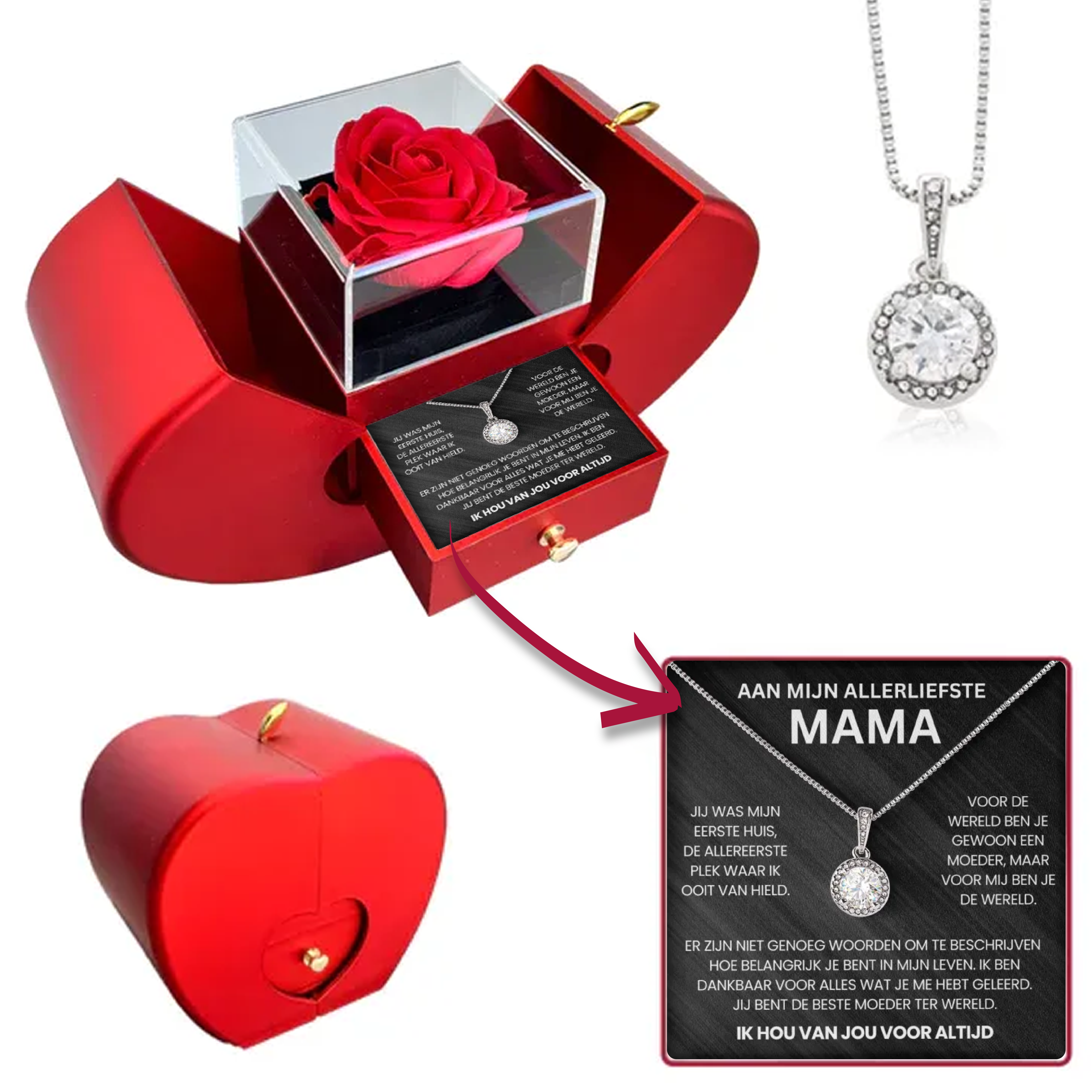 Aan Mijn Mama - Eeuwige Rozenbox - Met 14k Witgoud Cirkel Ketting & Echte Roos - CustomLove.nl