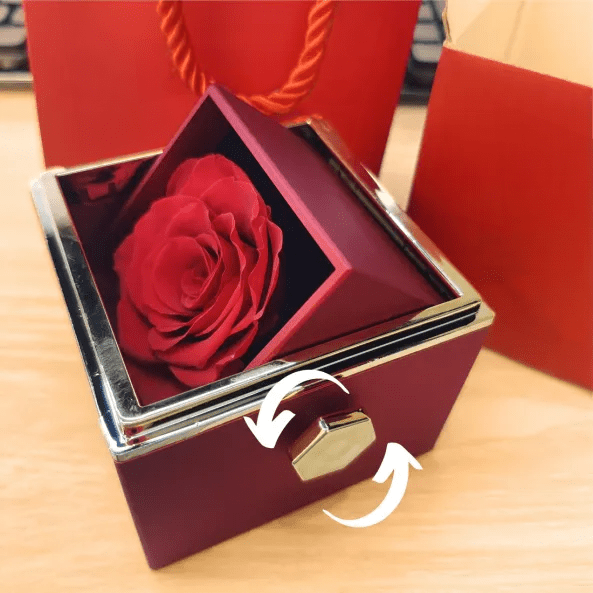 Eeuwige roos cadeaudoos met hartvormige ketting 'Ik hou van Eeuwige roos cadeaudoos met hartvormige ketting 'Ik hou van