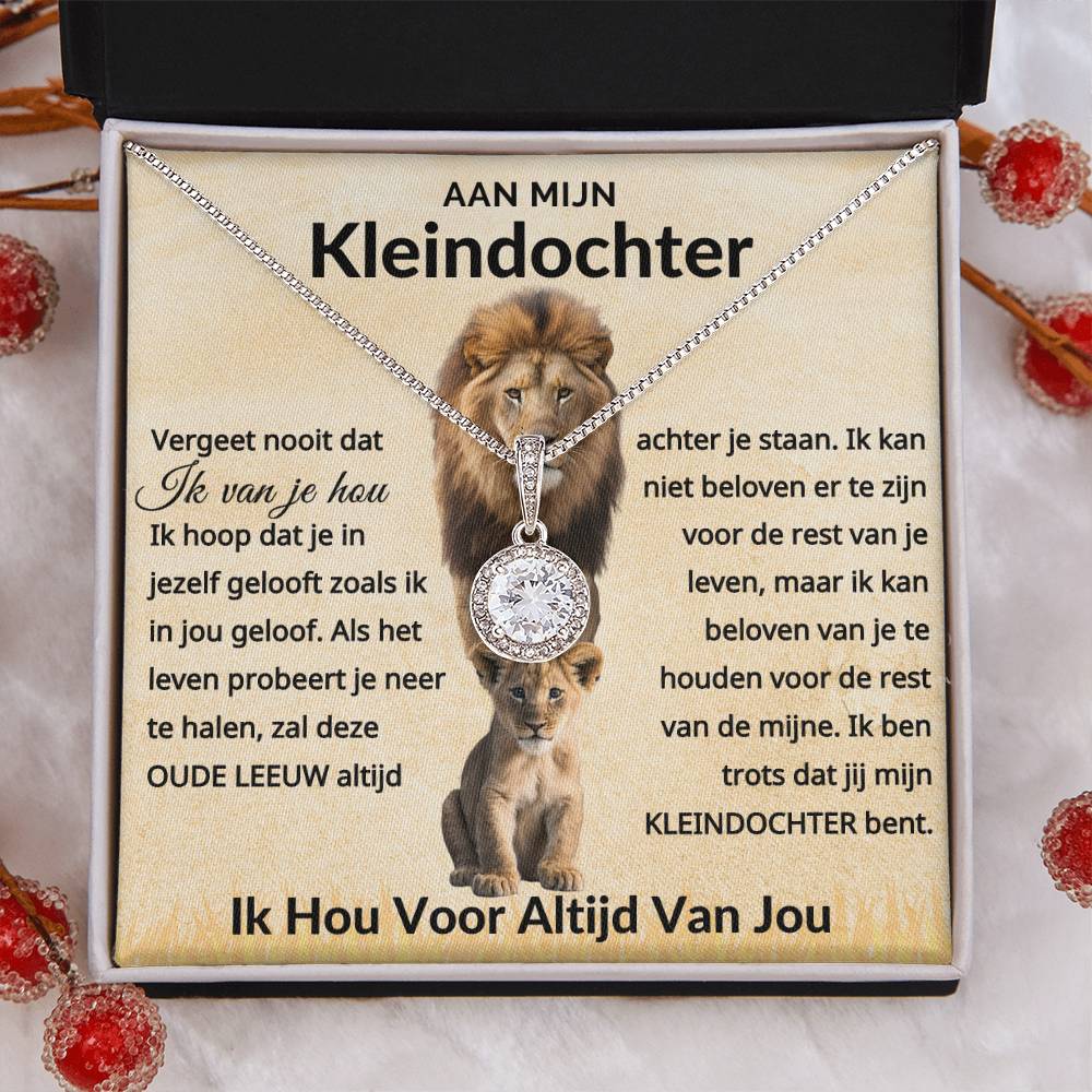 Aan Mijn Kleindochter - Vergeet nooit dat ik van je hou - 14k Witgoud Cirkel Ketting